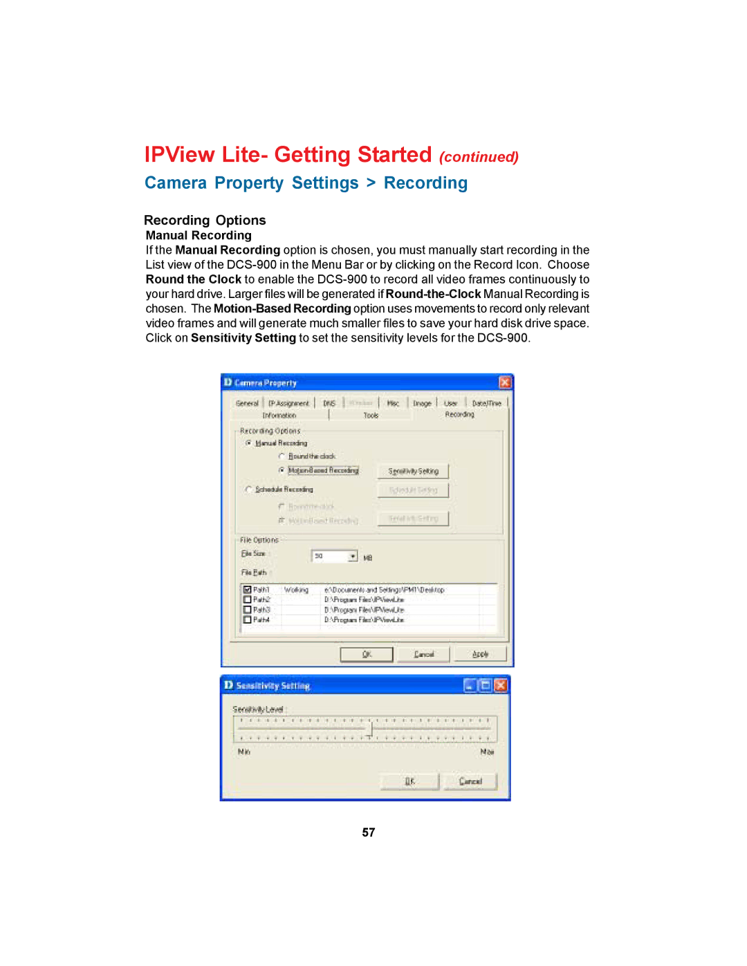 D-Link DCS-900 manual Camera Property Settings Recording, Recording Options, Manual Recording 