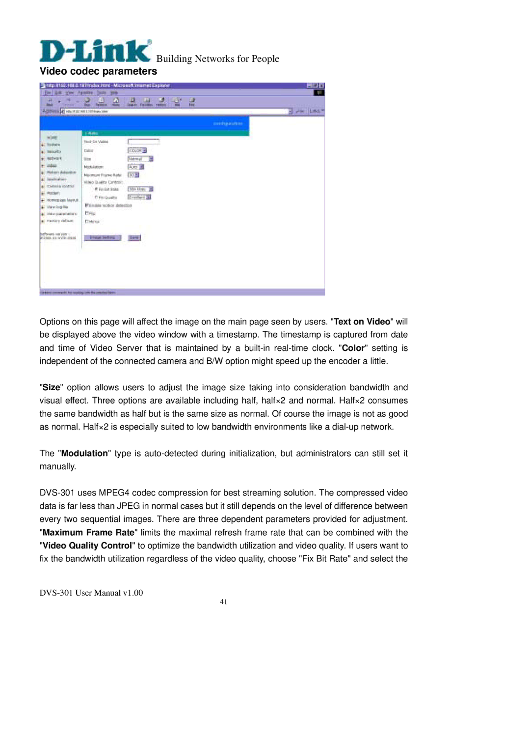 D-Link DVS-301 user manual Video codec parameters 