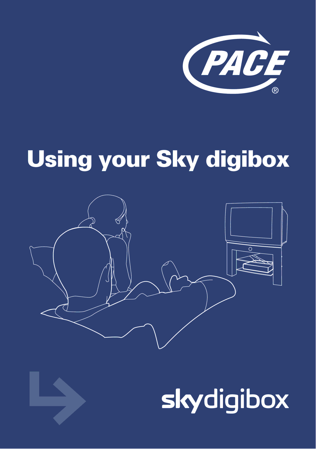 Daewoo manual Using your Sky digibox 