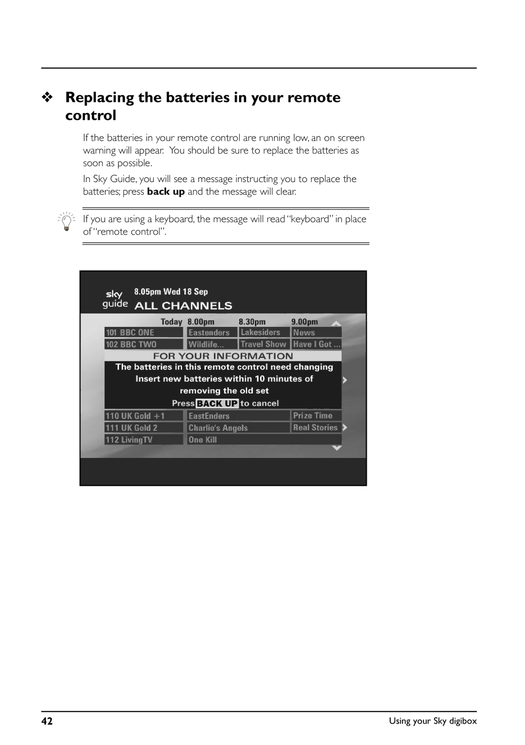 Daewoo digibox manual Replacing the batteries in your remote control 