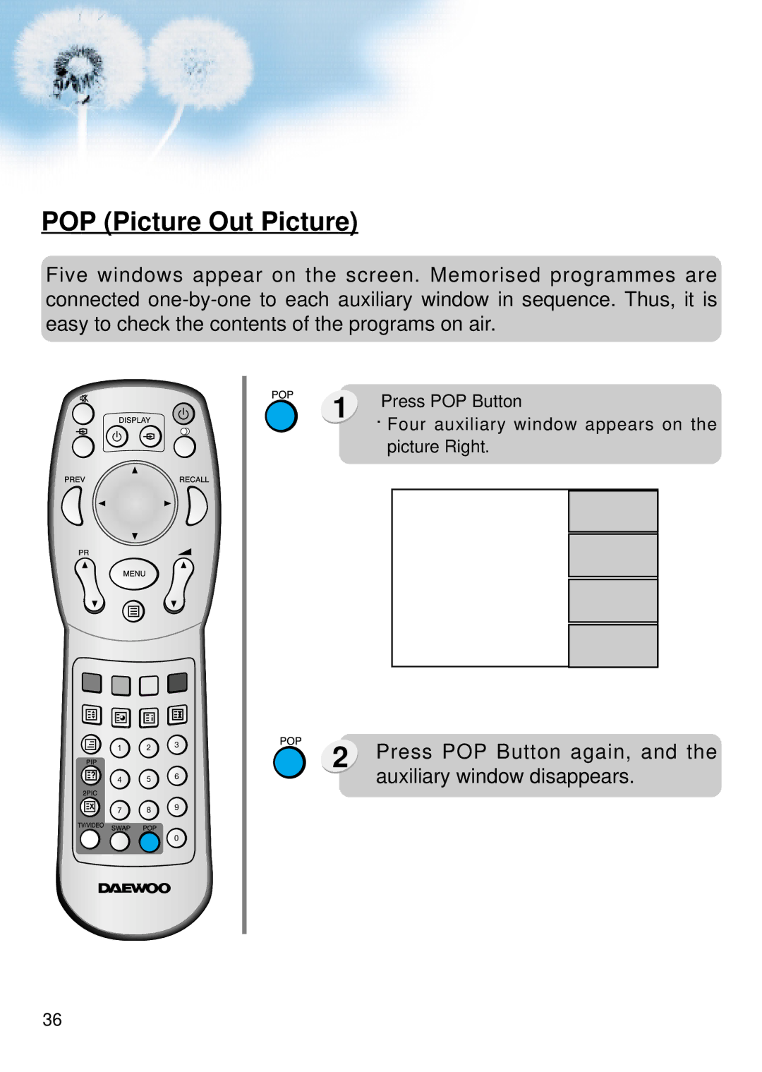 Daewoo DSA-9310E manual POP Picture Out Picture 