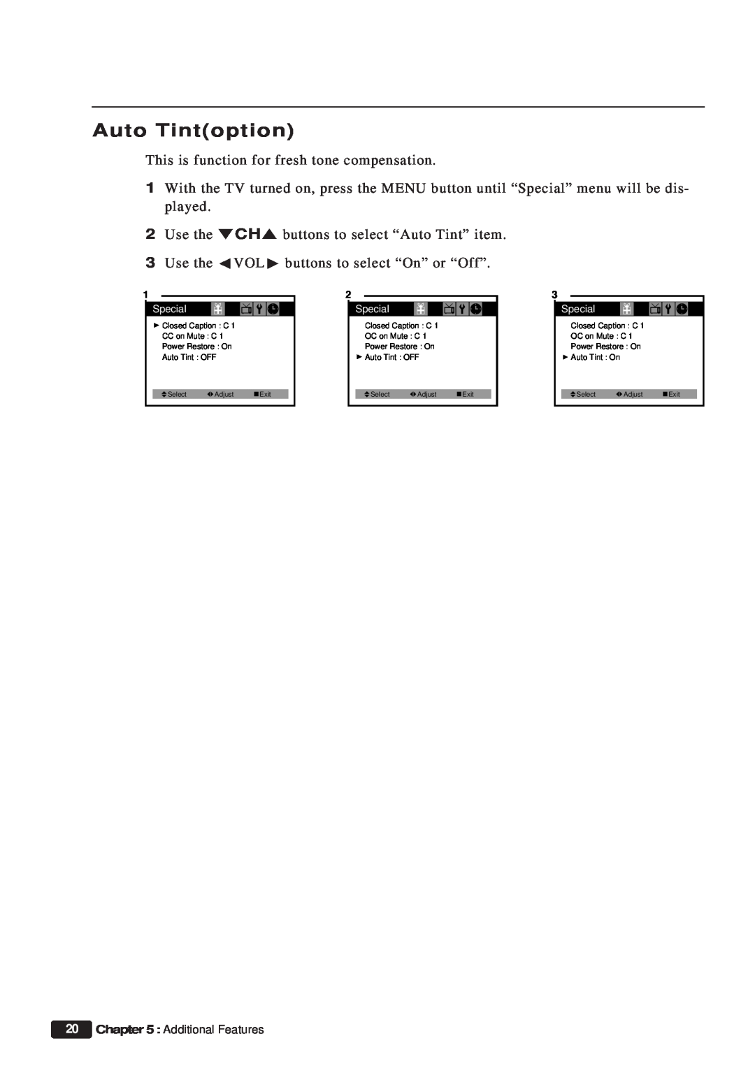 Daewoo ET 13P2, ET 19P2 instruction manual Auto Tintoption, Additional Features 