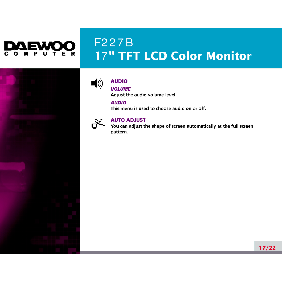 Daewoo F227B manual 17/22 