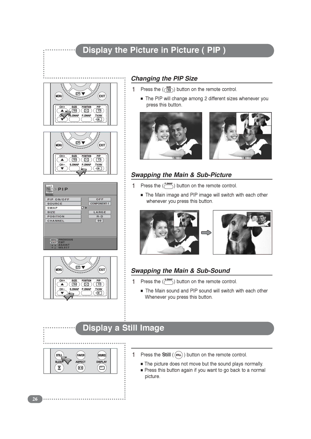 Daitsu LCD 32 Display a Still Image, Changing the PIP Size, Swapping the Main & Sub-Picture, Swapping the Main & Sub-Sound 