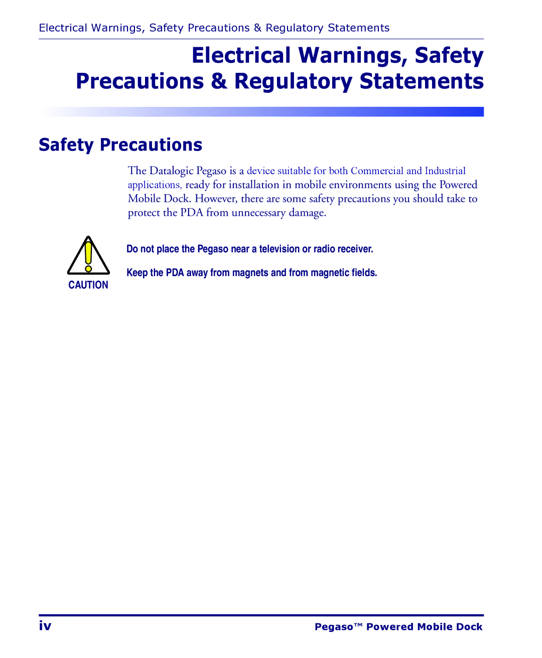 Datalogic Scanning Pegaso manual Safety Precautions 