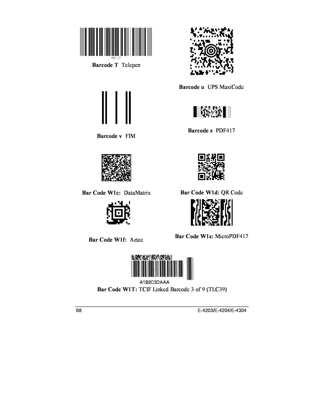 Datamax E-4203, E-4204 Barcode T Telepen, Barcode u UPS MaxiCode, Barcode z PDF417 Barcode v FIM, Bar Code W1c DataMatrix 