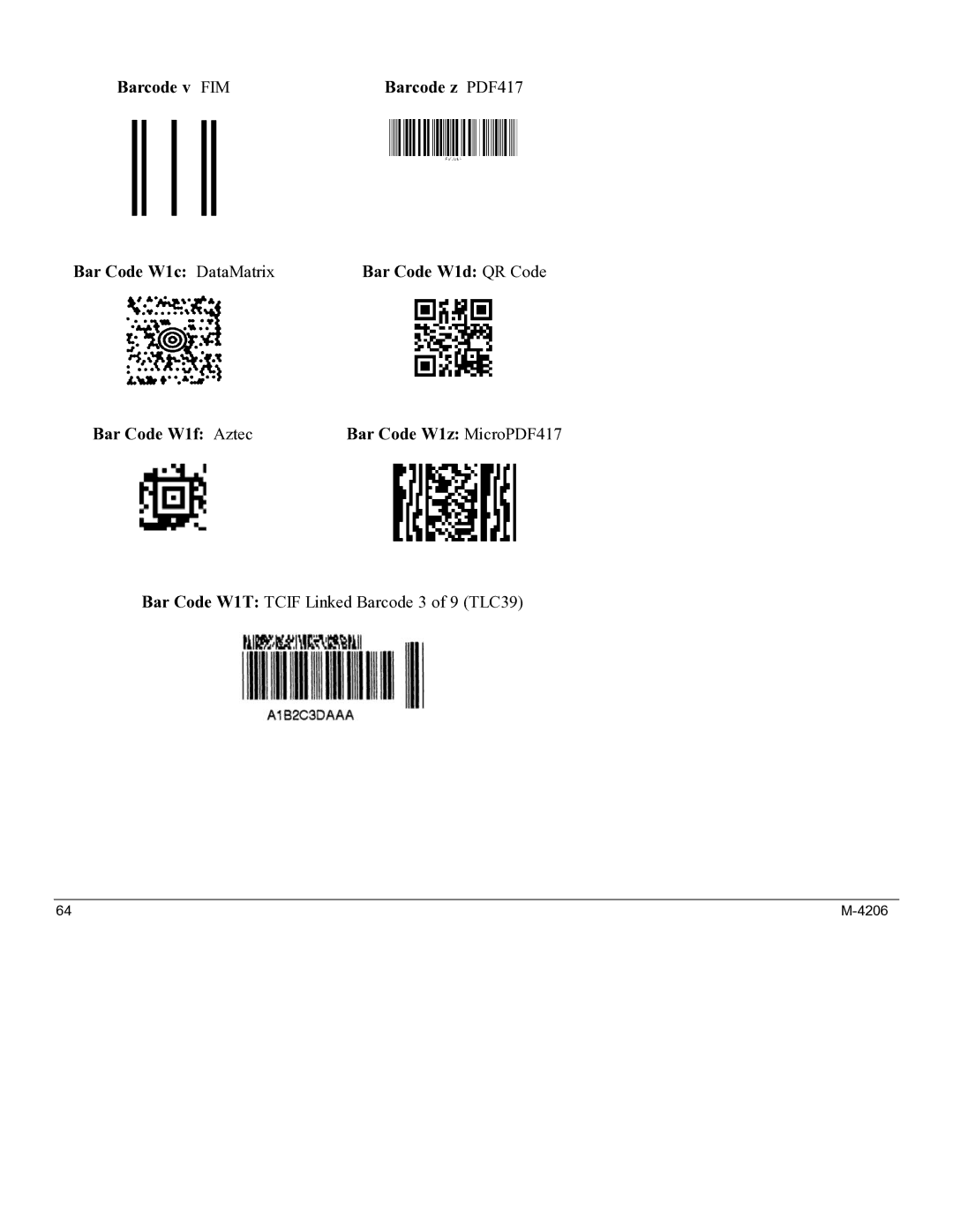 Datamax M-4206 manual Barcode v FIM Bar Code W1c DataMatrix 