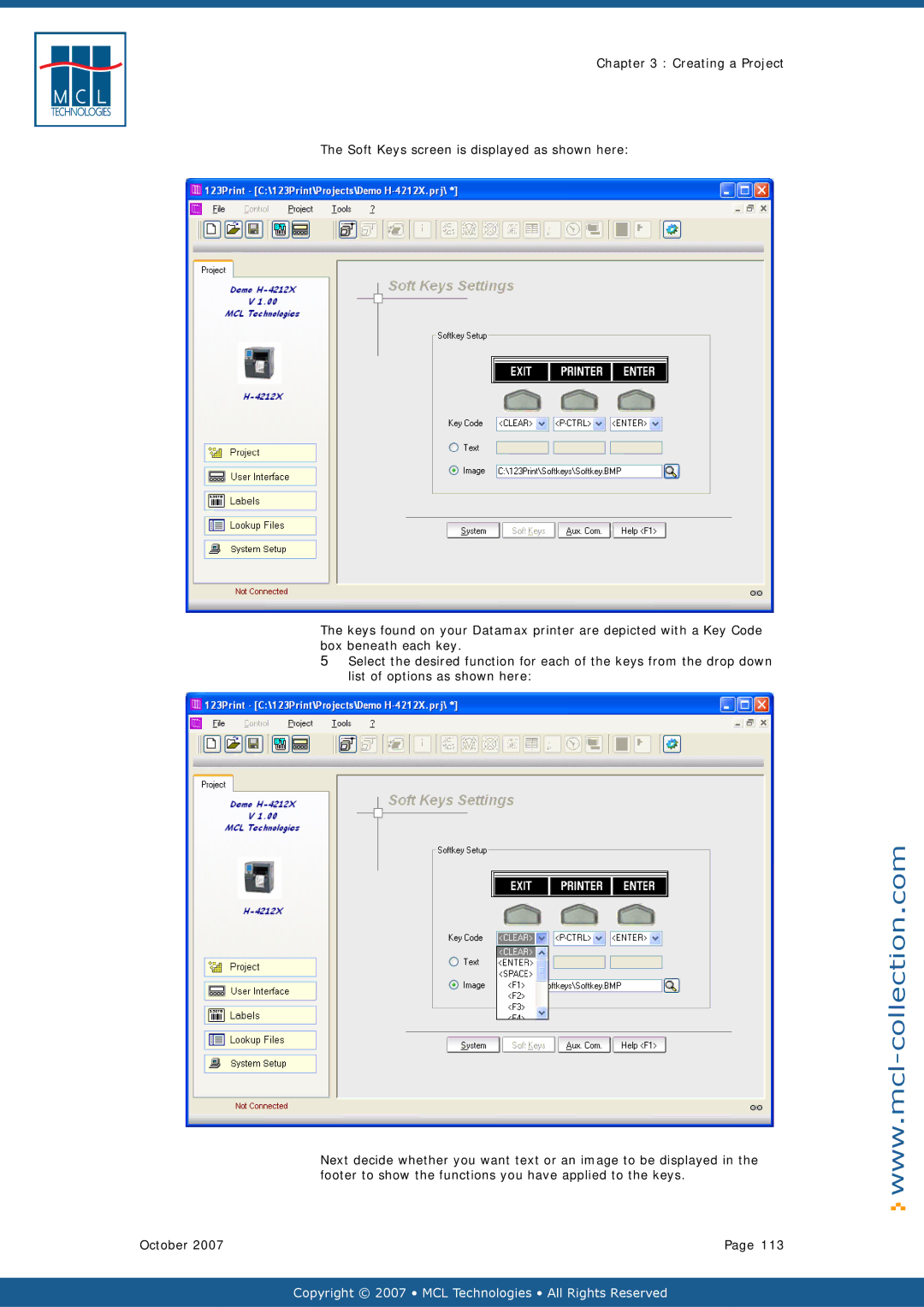 Datamax v1.1x user manual Copyright 2007 MCL Technologies All Rights Reserved 