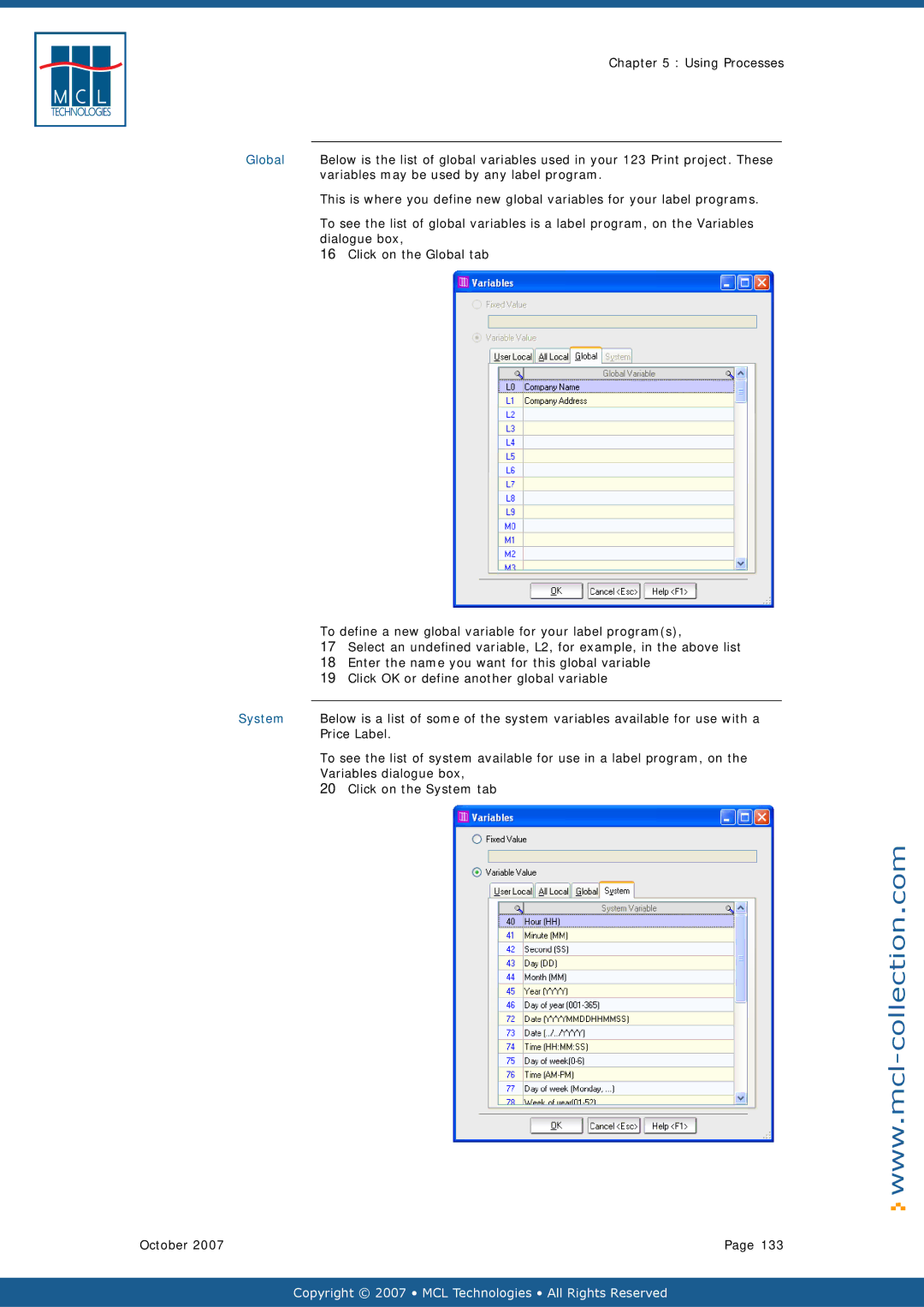 Datamax v1.1x user manual Global, Variables may be used by any label program, System 