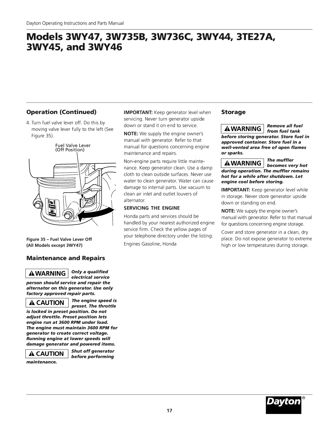 Dayton 3WY47, 3WY46 installation instructions Storage, Maintenance and Repairs, Servicing the Engine 