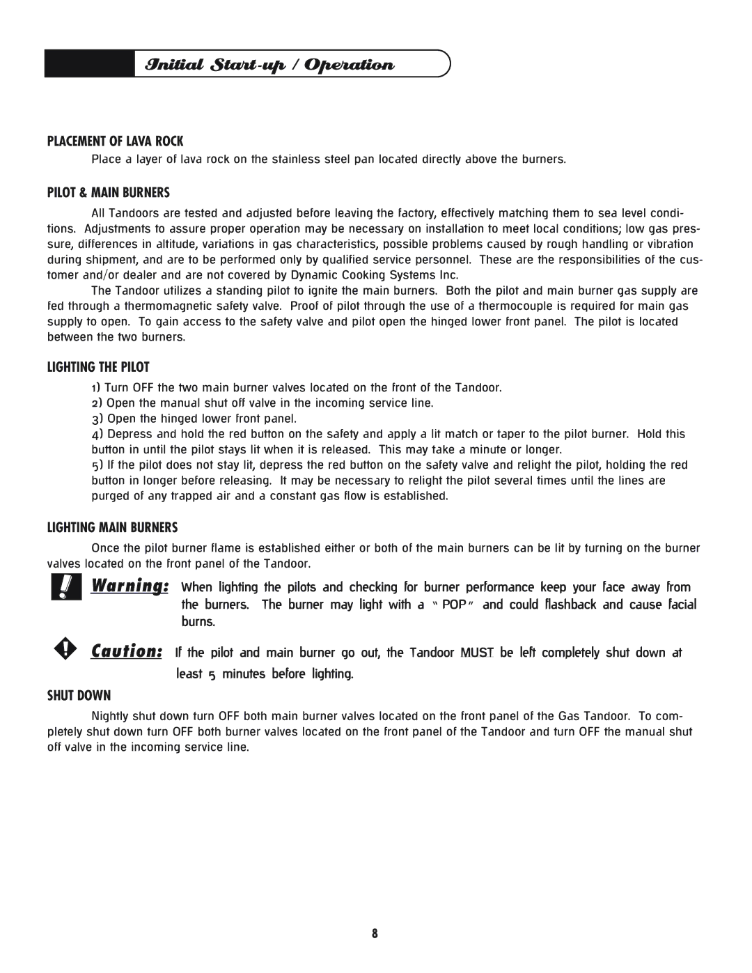 DCS CGT manual Initial Start-up / Operation 