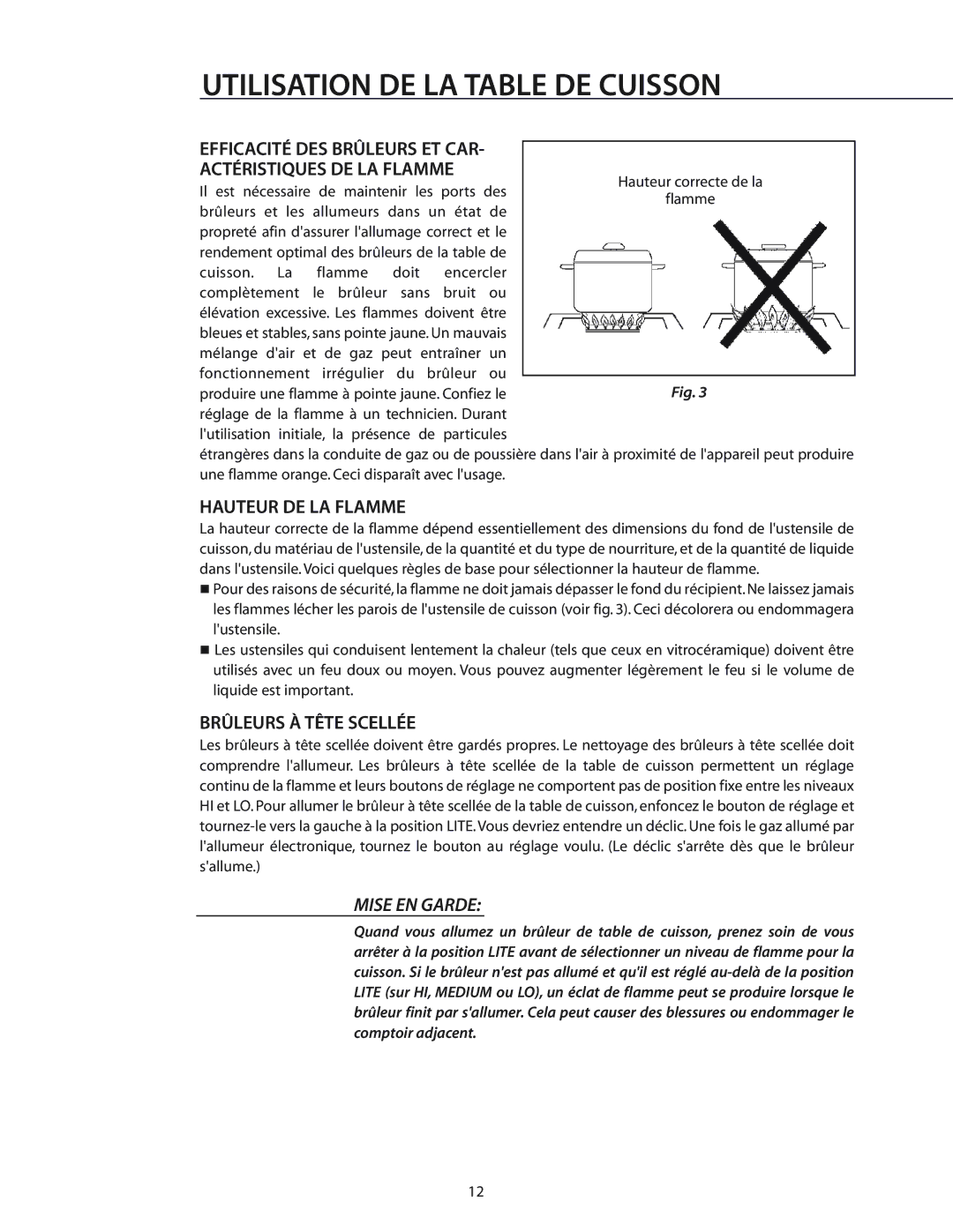 DCS RGS-484GG Efficacité DES Brûleurs ET CAR Actéristiques DE LA Flamme, Hauteur DE LA Flamme, Brûleurs À Tête Scellée 