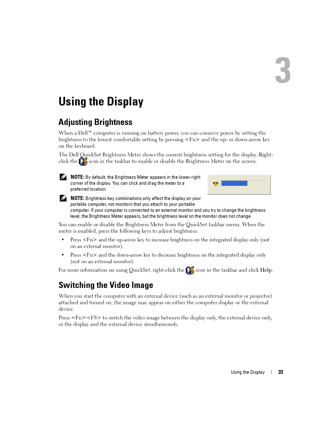 Dell PP19L, 140M owner manual Using the Display, Adjusting Brightness, Switching the Video Image 