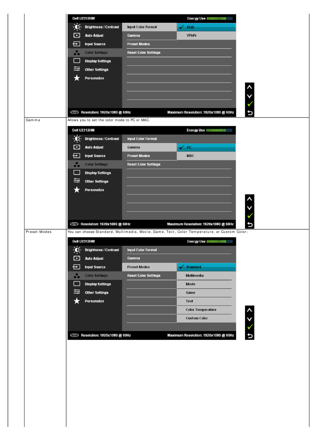 Dell 4691253, 320-2807 manual Gamma, Preset Modes 