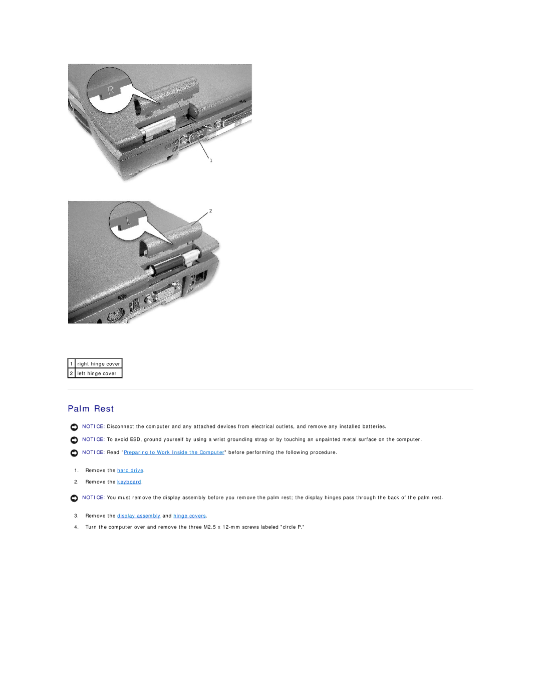 Dell 4100 specifications Palm Rest, Remove the display assembly and hinge covers 