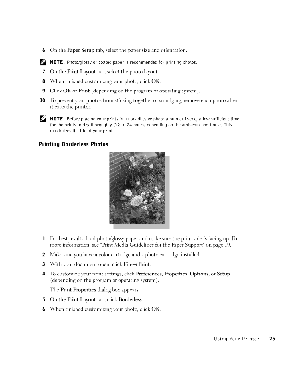 Dell 922 owner manual Printing Borderless Photos, On the Print Layout tab, click Borderless 