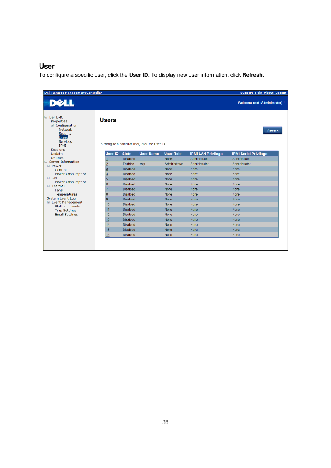 Dell B02S, C410x manual User 