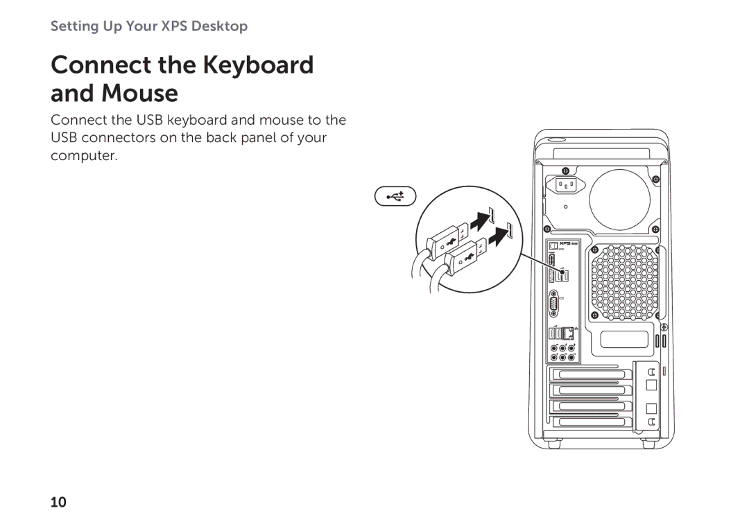 Dell D03M setup guide Connect the Keyboard and Mouse 