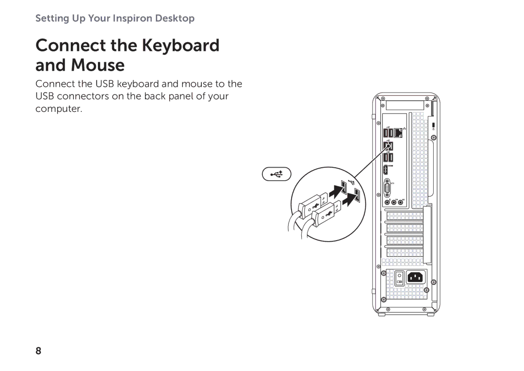 Dell D06D setup guide Connect the Keyboard and Mouse 