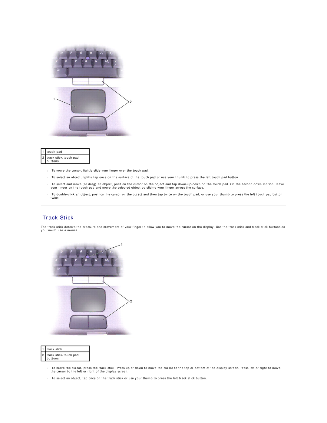 Dell D600 specifications Track Stick 