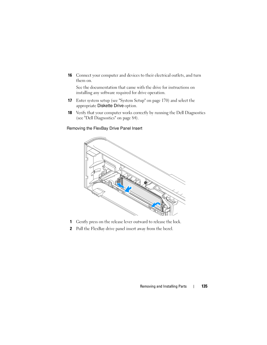 Dell DCSLF manual 135 