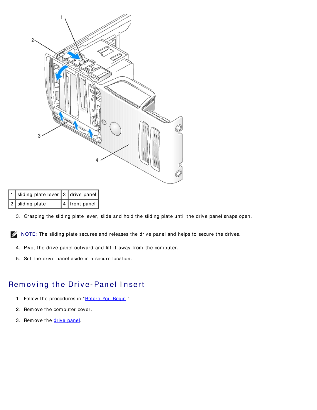 Dell DCSM manual Removing the Drive-Panel Insert 