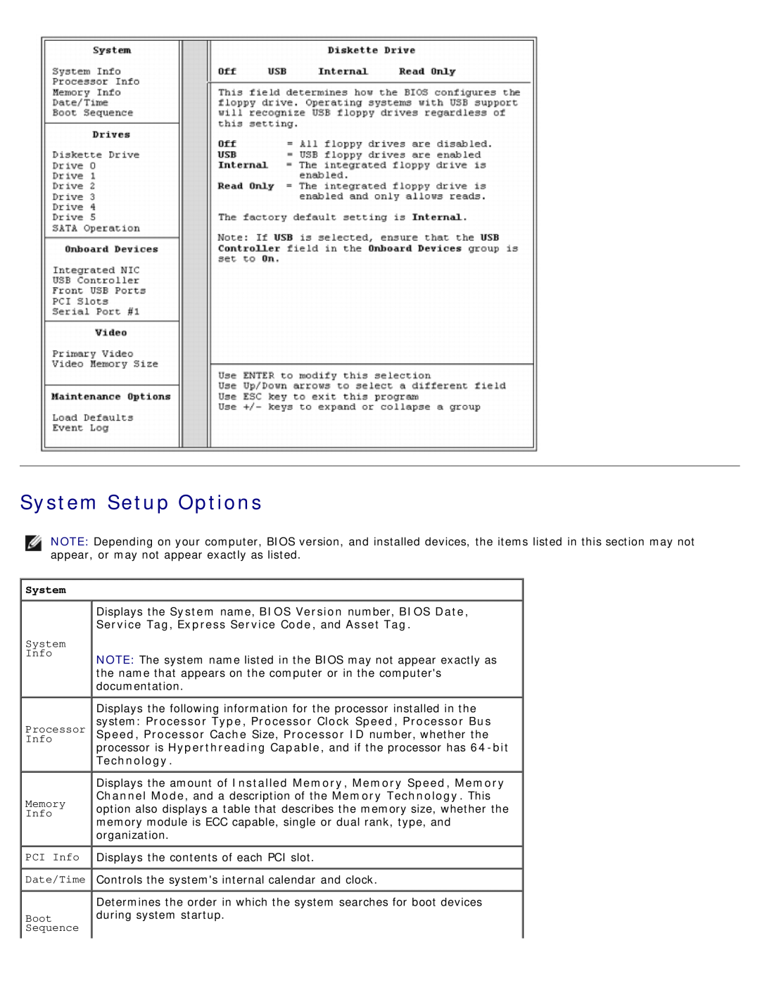 Dell DCSM manual System Setup Options 
