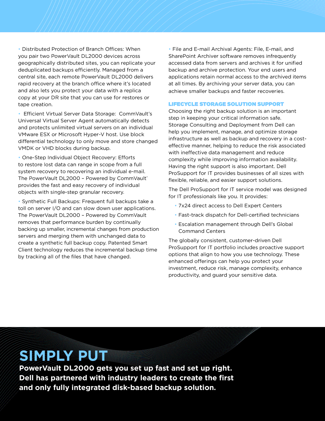 Dell DL2000 manual Simply put, Lifecycle storage solution Support 