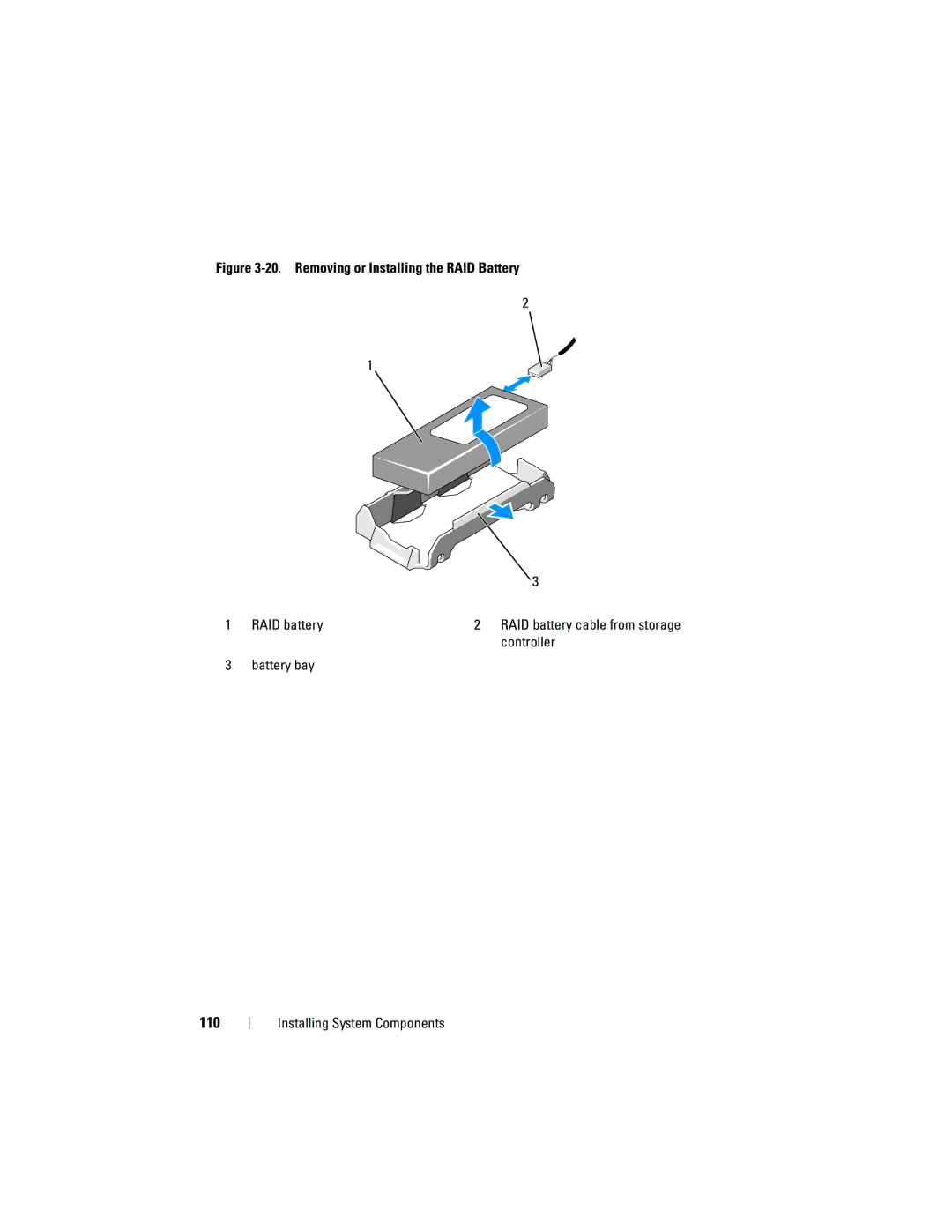 Dell DL2100 owner manual 110 