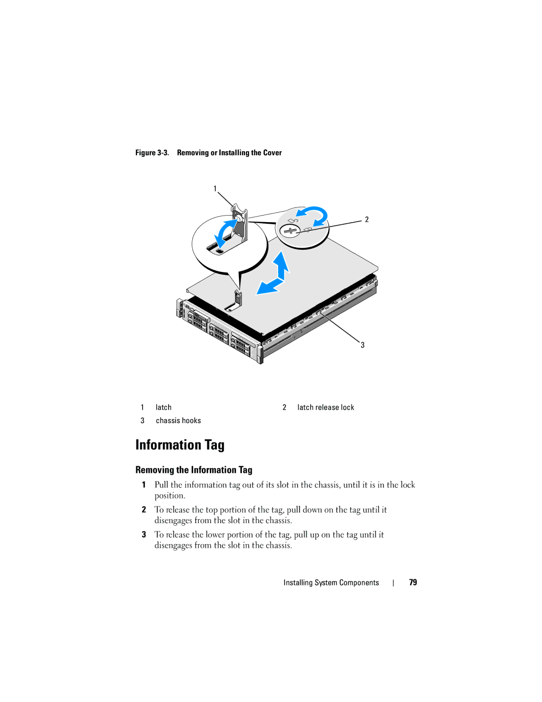 Dell DL2100 owner manual Removing the Information Tag, Chassis hooks 