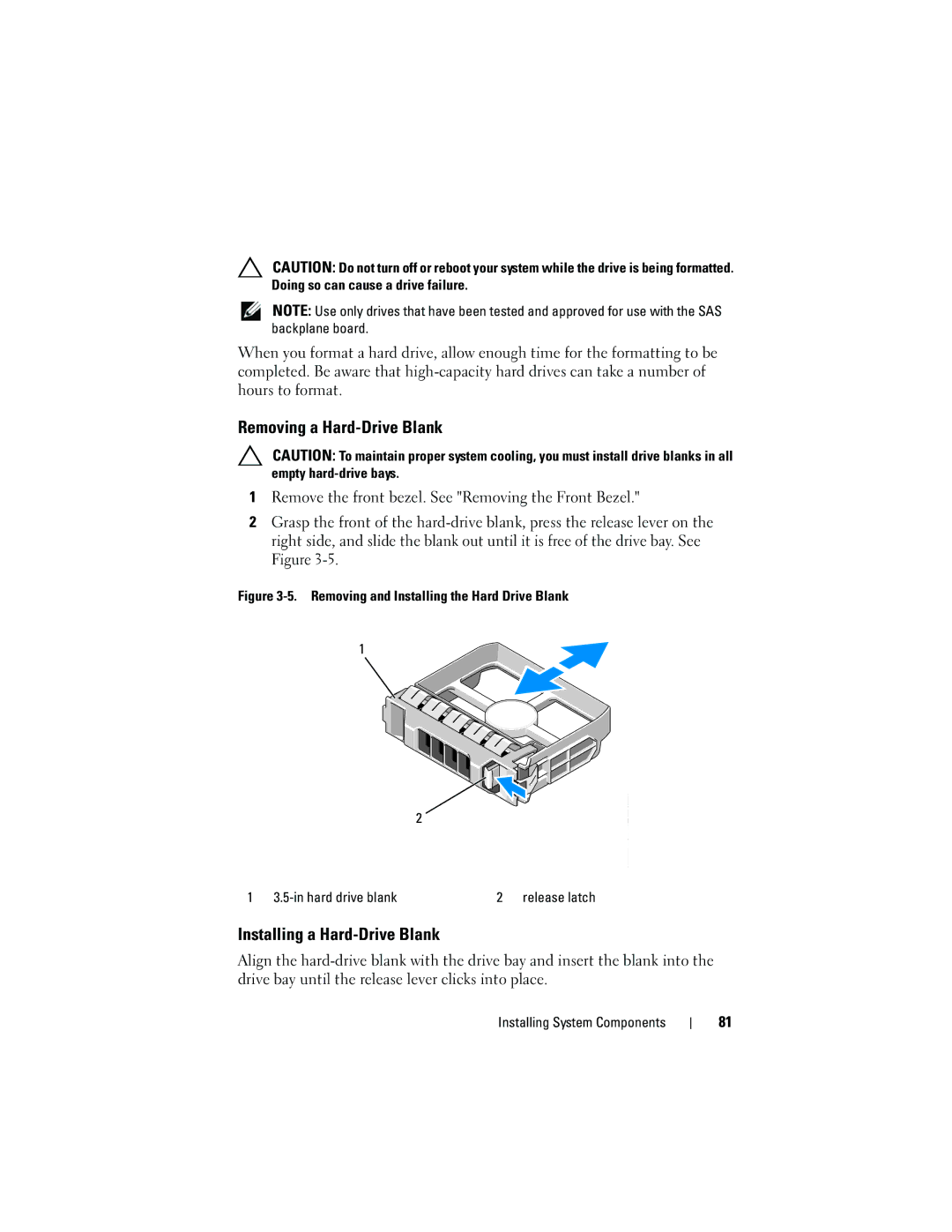 Dell DL2100 owner manual Removing a Hard-Drive Blank, Installing a Hard-Drive Blank 