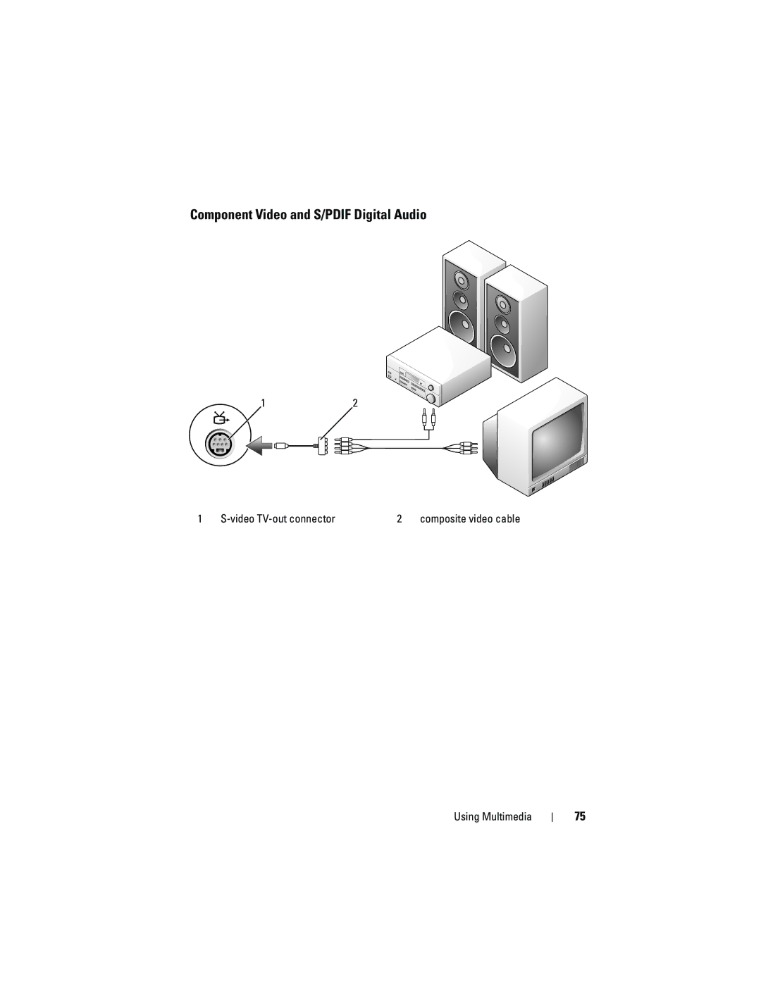 Dell PP22X, DT549 owner manual Component Video and S/PDIF Digital Audio 