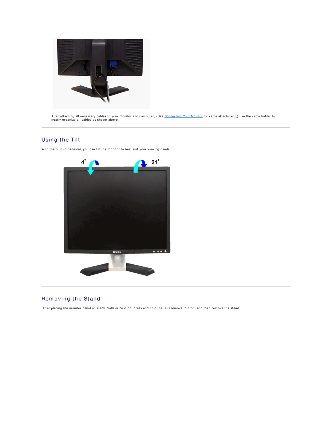 Dell E198FP appendix Using the Tilt, Removing the Stand 