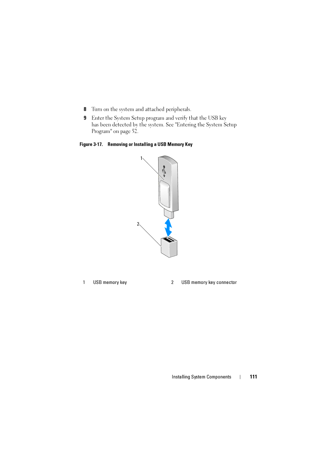 Dell NX200 owner manual 111, Removing or Installing a USB Memory Key 