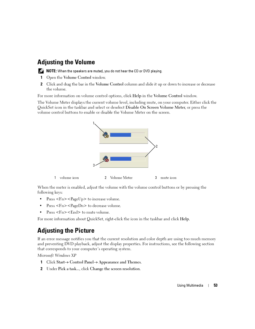 Dell PP04X manual Adjusting the Volume, Adjusting the Picture 