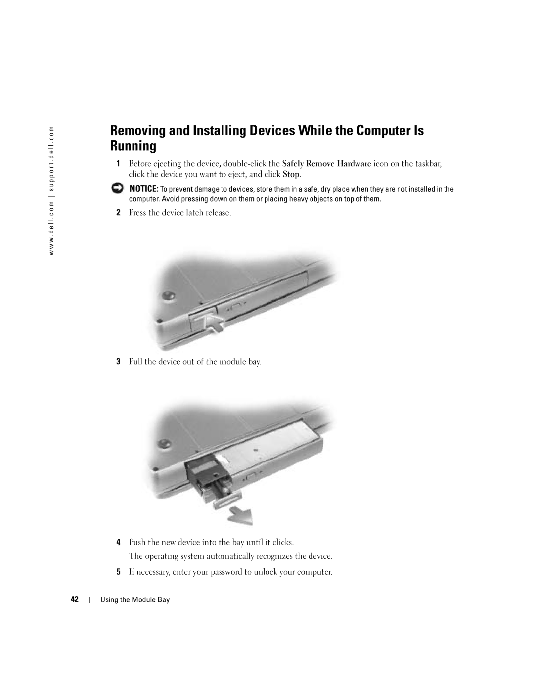 Dell PP10L owner manual Using the Module Bay 