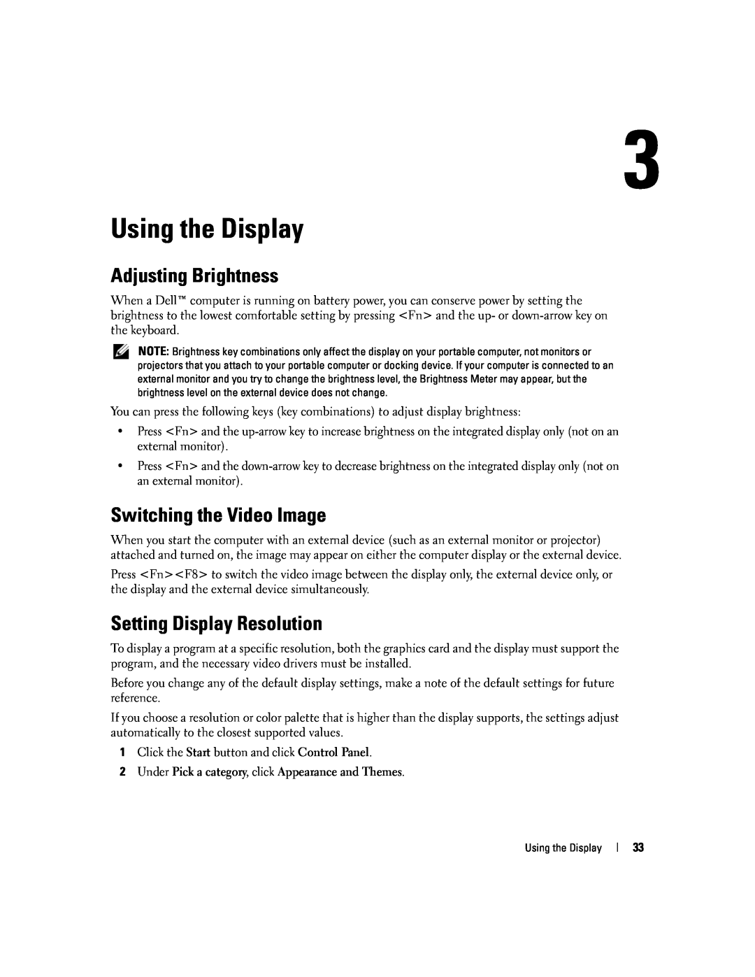 Dell PP20L owner manual Using the Display, Adjusting Brightness, Switching the Video Image, Setting Display Resolution 