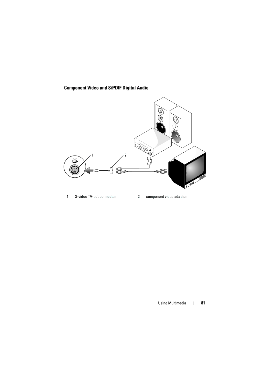 Dell PP22L manual Component Video and S/PDIF Digital Audio 