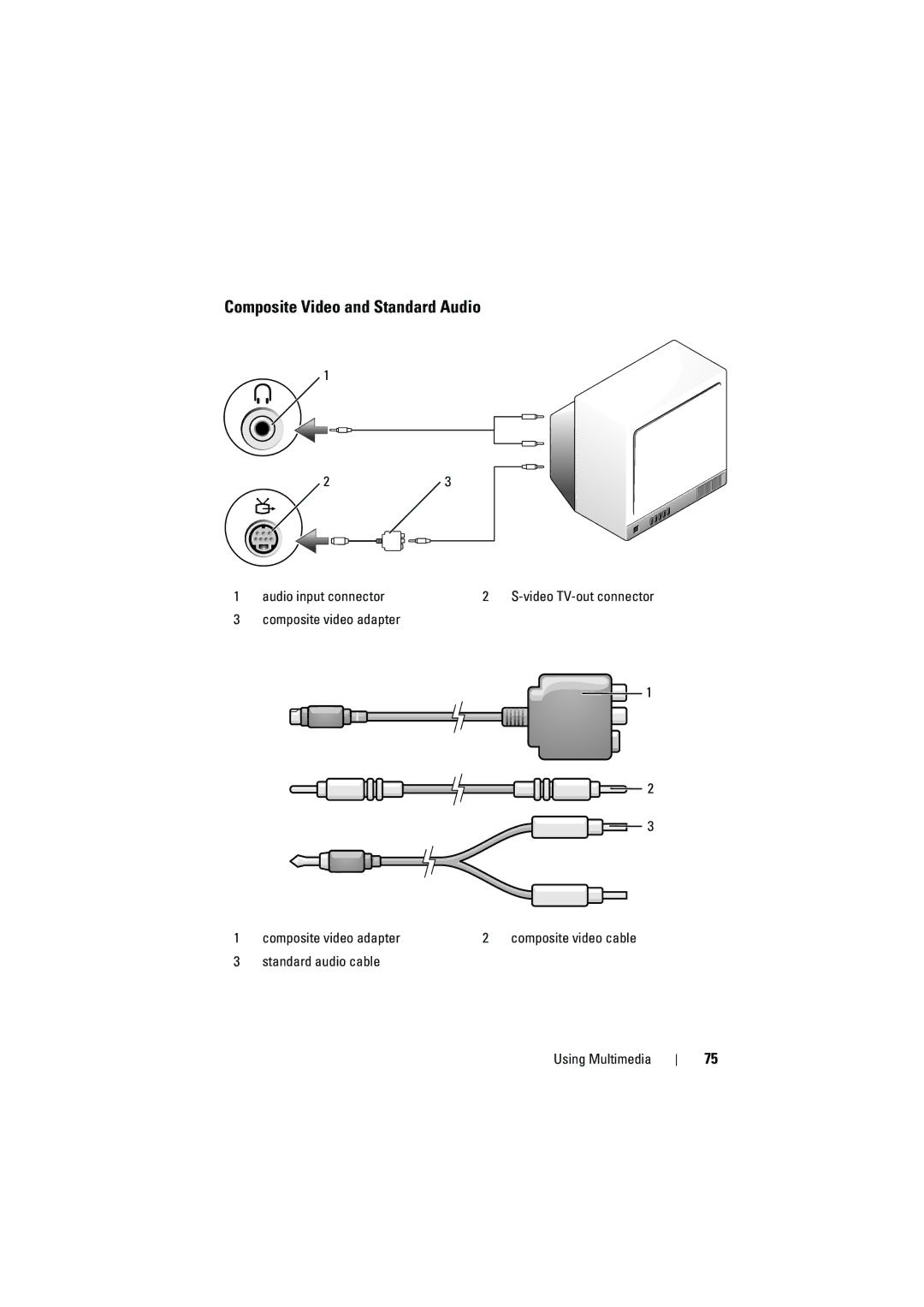 Dell PP22L manual Composite Video and Standard Audio 