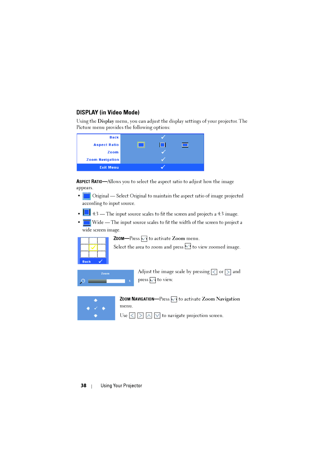 Dell S300 manual Display in Video Mode 