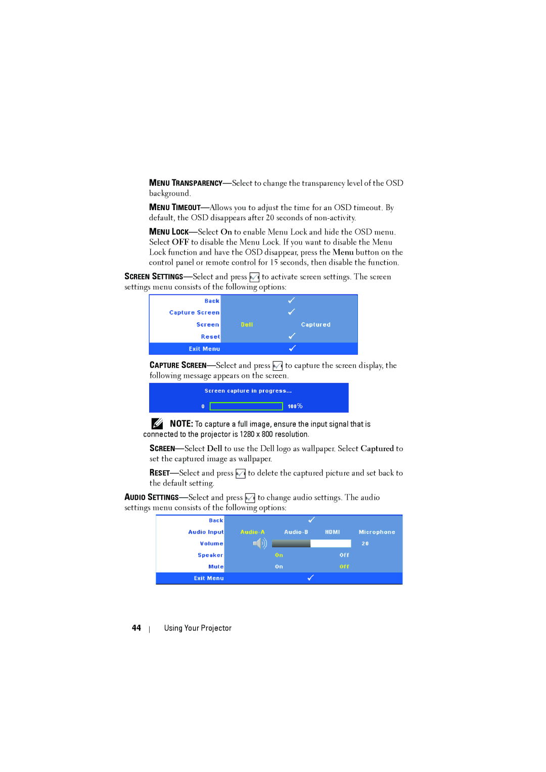 Dell S300 manual Using Your Projector 