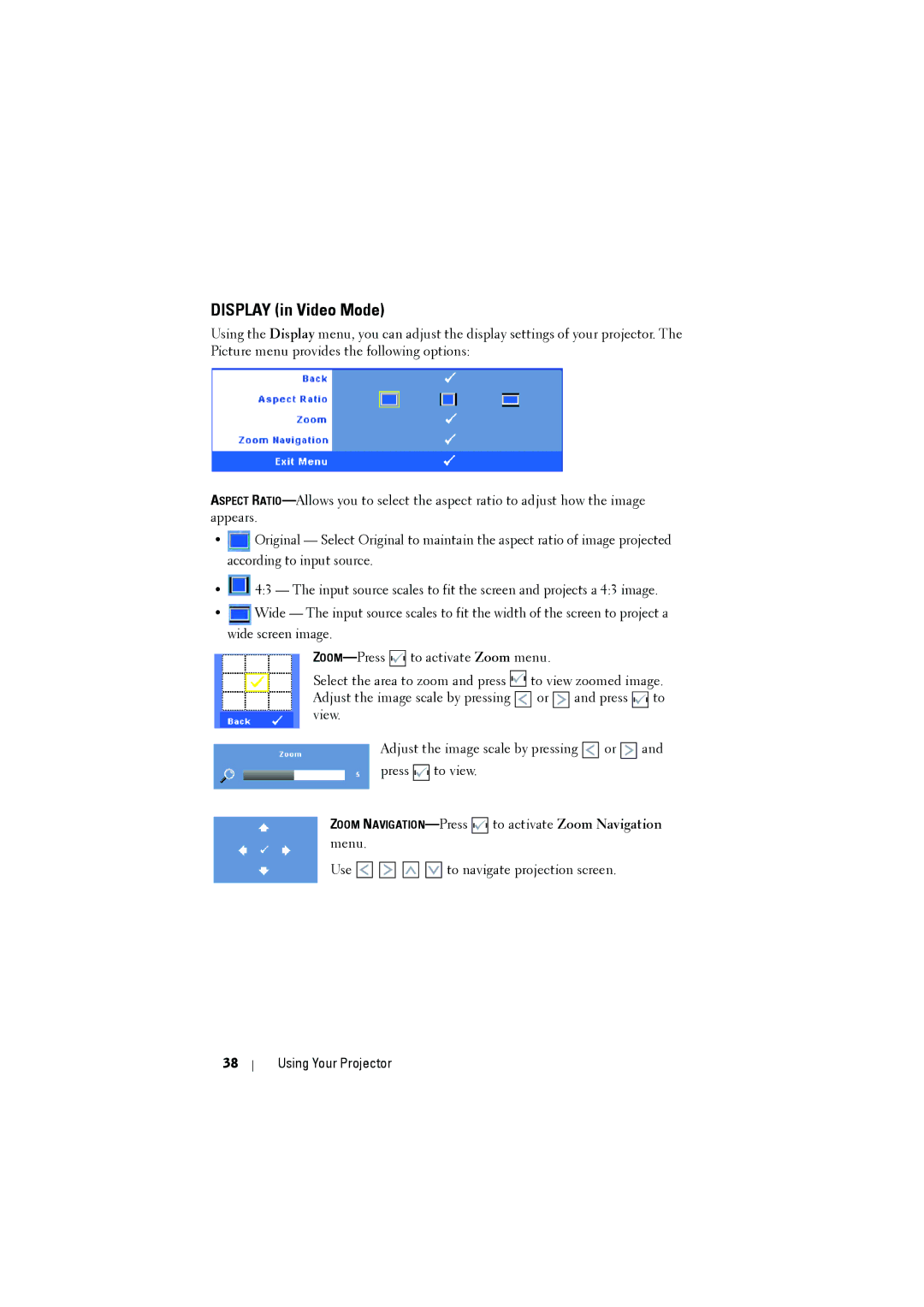 Dell S300 manual Display in Video Mode 