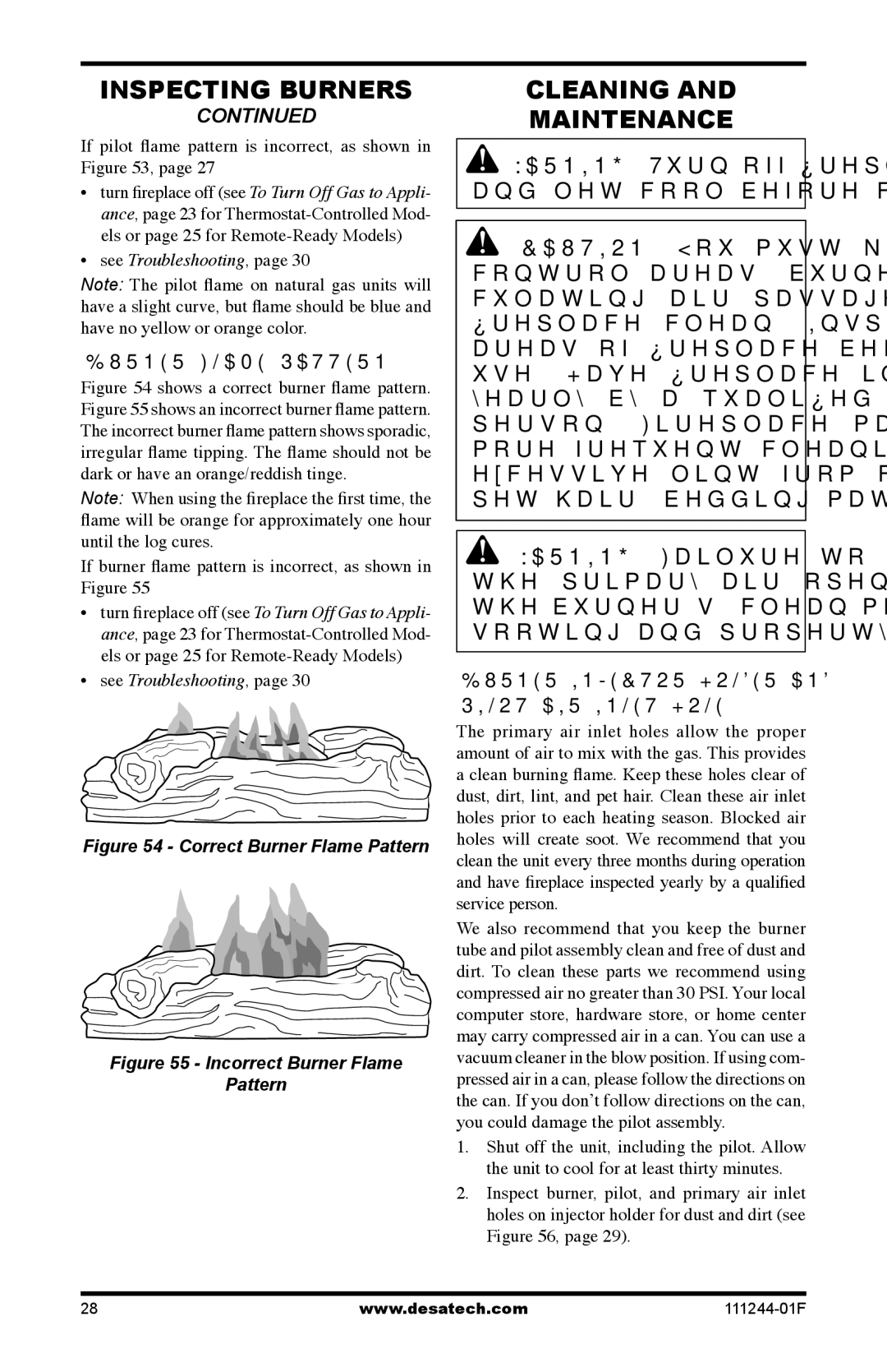 Desa CDCFPR, CDCFTNA, CDCFTPA Cleaning Maintenance, Burner Flame Pattern, Burner Injector Holder and Pilot AIR Inlet Hole 