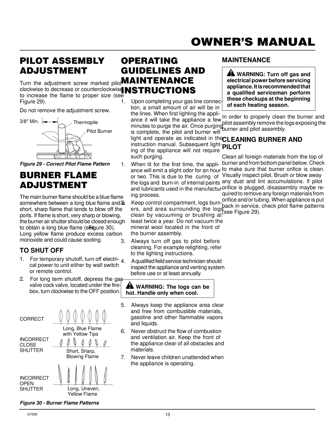 Desa EVGL850N Pilot Assembly Adjustment, Burner Flame Adjustment, Operating Guidelines and Maintenance Instructions 