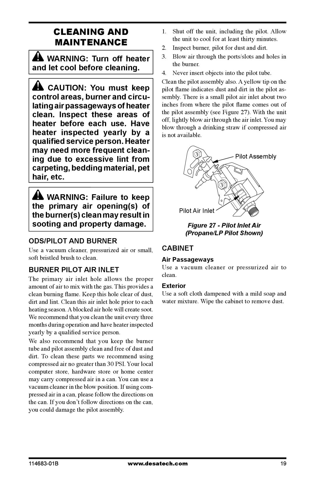 Desa GG30NT, FG30PT, FG30NT, RG30NT Cleaning Maintenance, ODS/PILOT and Burner, Burner Pilot AIR Inlet, Cabinet 