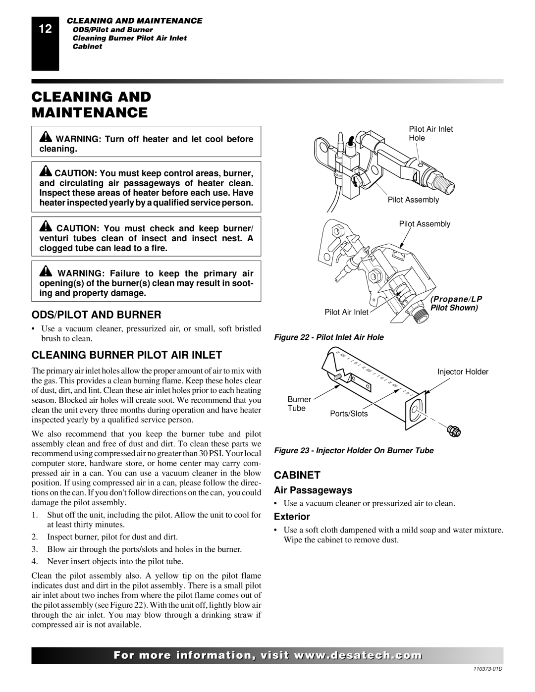 Desa REM10PT RH10PT Cleaning Maintenance, ODS/PILOT and Burner, Cleaning Burner Pilot AIR Inlet, Cabinet 