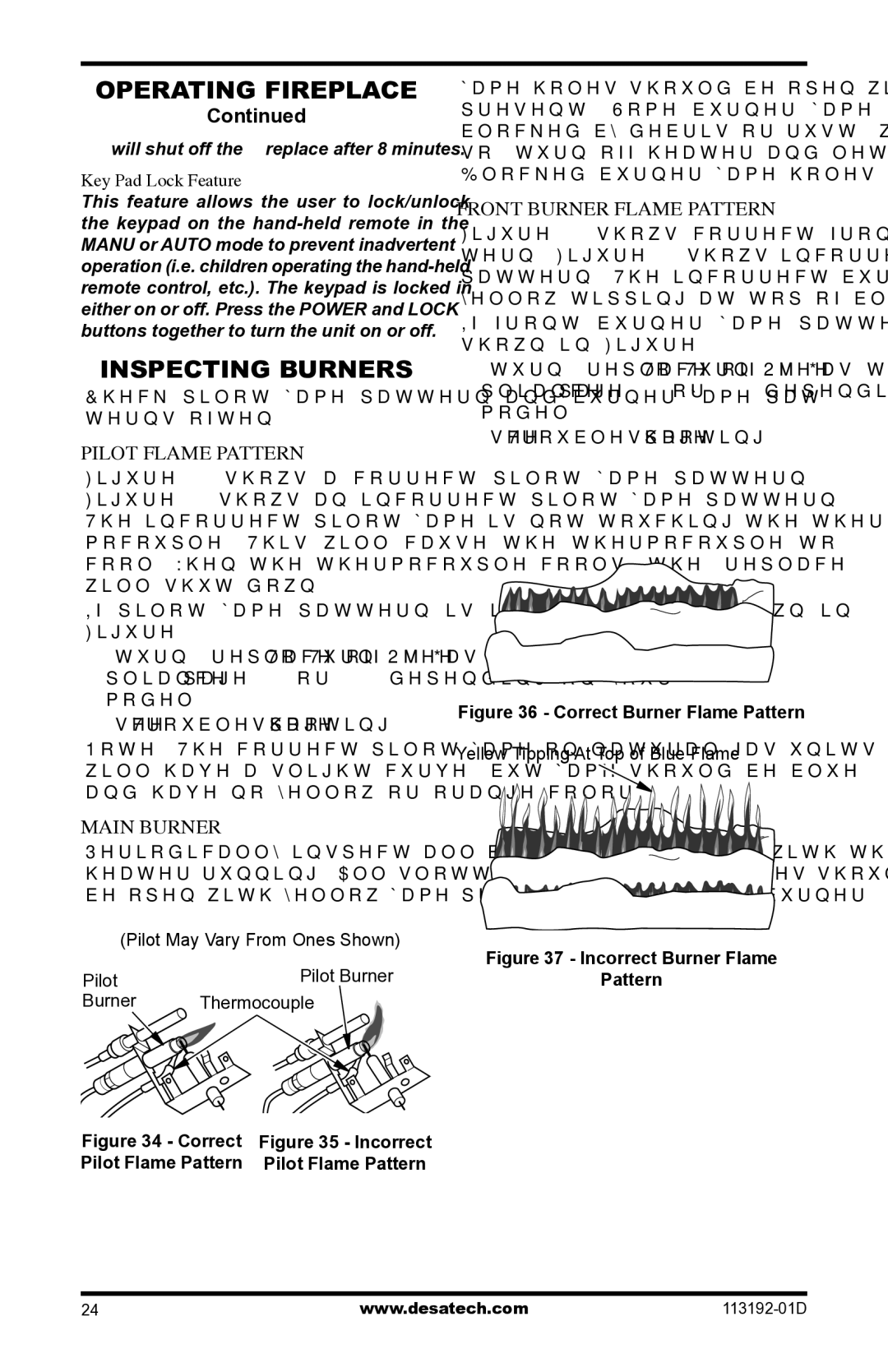 Desa VSGF36NR, VSGF36PR Inspecting Burners, Pilot Flame Pattern, Main Burner, Front Burner Flame Pattern 