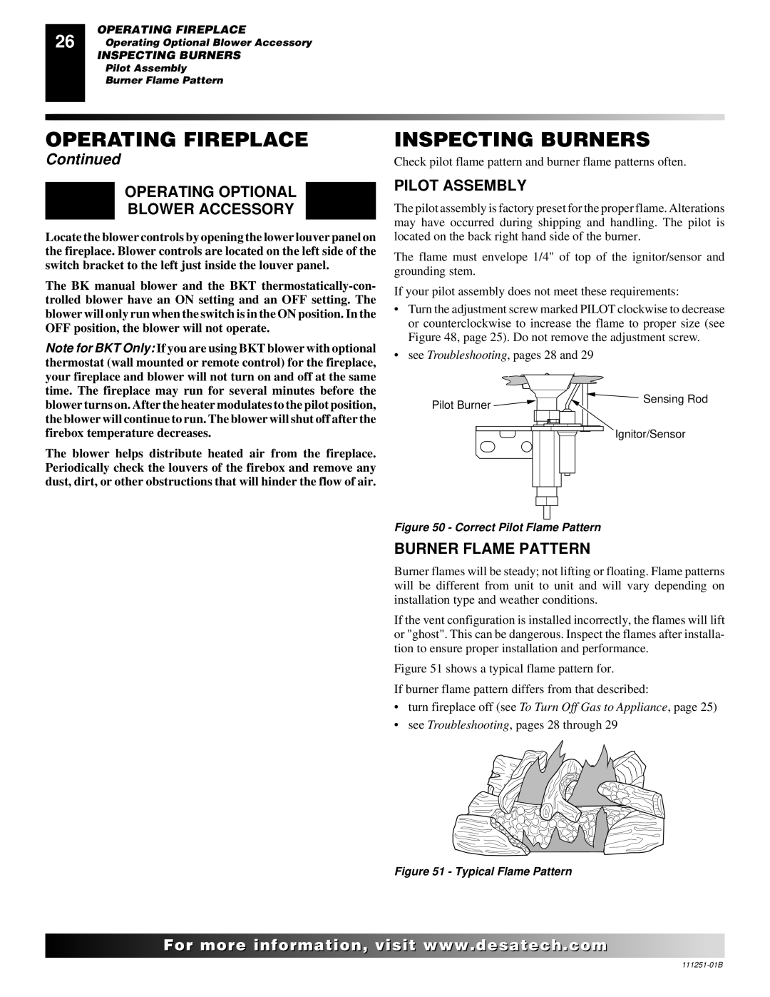 Desa (V)T36ENA Inspecting Burners, Operating Optional Blower Accessory, Pilot Assembly, Burner Flame Pattern 