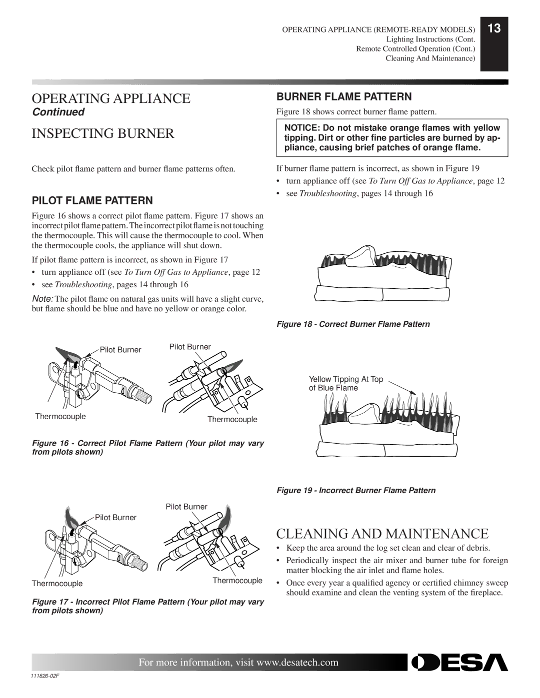 Desa VTD-18N-BTB, VTD-24P-PDG Operating Appliance Inspecting Burner, Cleaning and Maintenance, Pilot Flame Pattern 