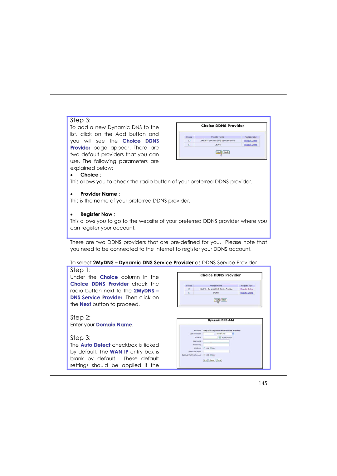 DeWalt WP54AG manual Provider Name, Register Now, Choice Ddns Provider check 